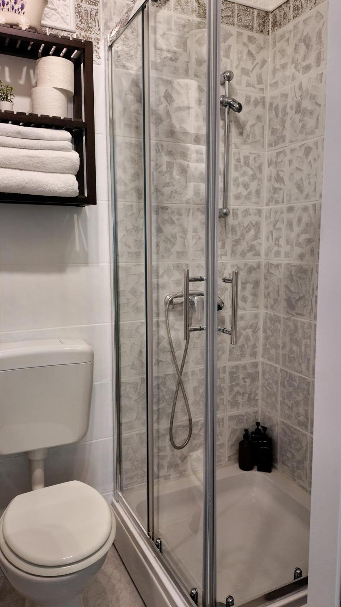 Luxury Apartment In Center Of זאגרב מראה חיצוני תמונה